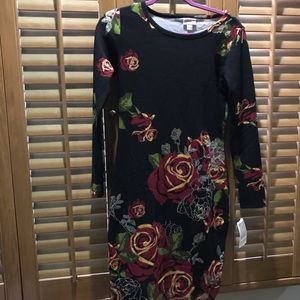 NWT Lularoe Debbie XS